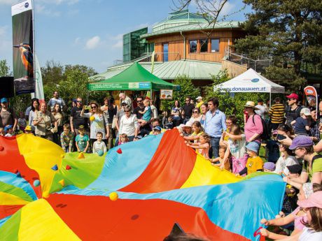 42603-28-va-ie-sommerfest-17-lobauhauskracherb_1400x1050