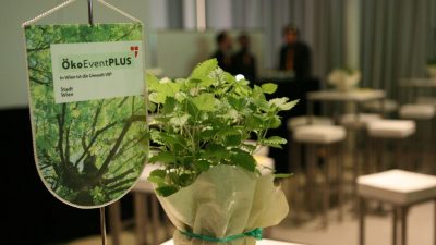 ÖkoEvent Tischwimpel und Blumentopf