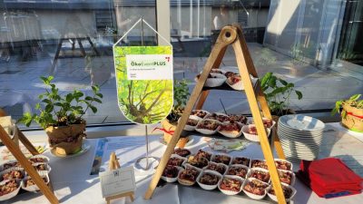Tischwimpel am Buffet